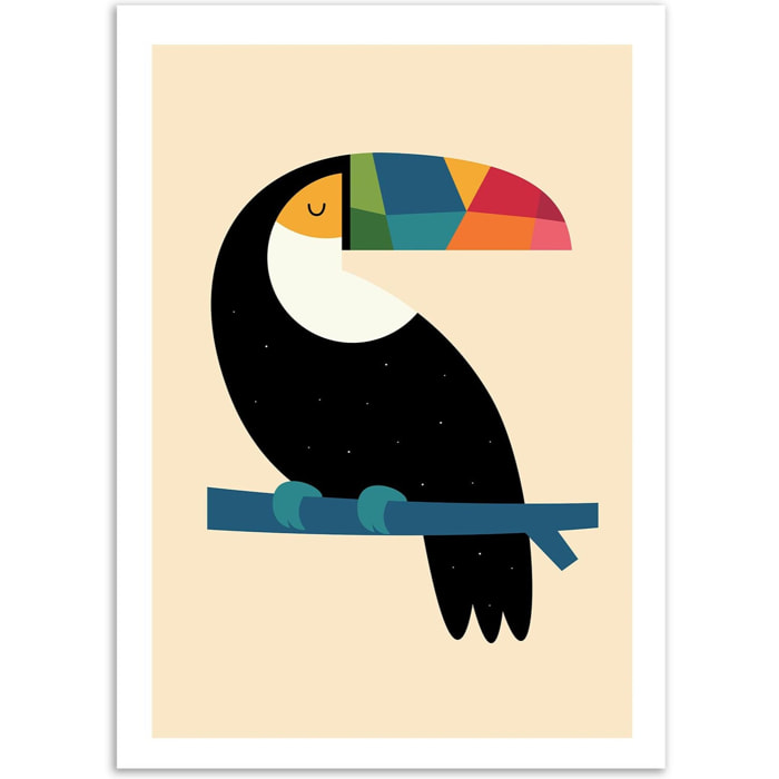 Affiche - Rainbow Toucan - Andy Westface