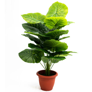 Pianta verde artificiale per interno Dieffenbachia, Filodendro, Palma, Arelia