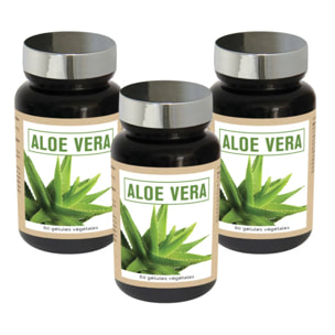 NUTRI EXPERT - Aloe Vera - Favorise le Confort Digestif -100% Extrait de Suc d'Aloe Vera - Soutient la Santé Gastro-intestinale - Sans Gluten ni Allergène - Vegan - Actif breveté - Lot de 3 produits