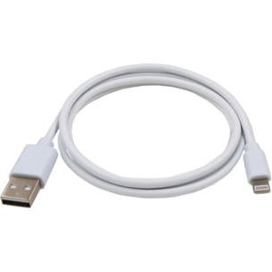 Câble Lightning LISTO USB-A vers Lightning 90cm non MFI Blanc