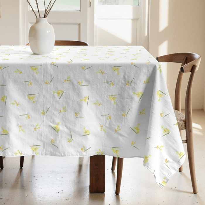 Nappe anti-taches 100% coton Zeus