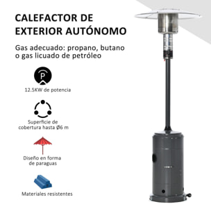 Estufa de Gas para Exterior 12,5KW Calefactor para Patio con Ruedas Ø81,5x225 cm