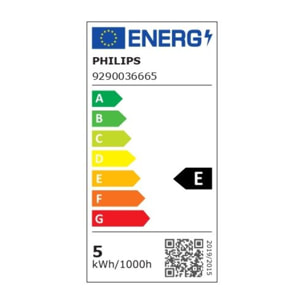 Ampoule LED connectée WIZ Couleur E27 G95 Globe 75W