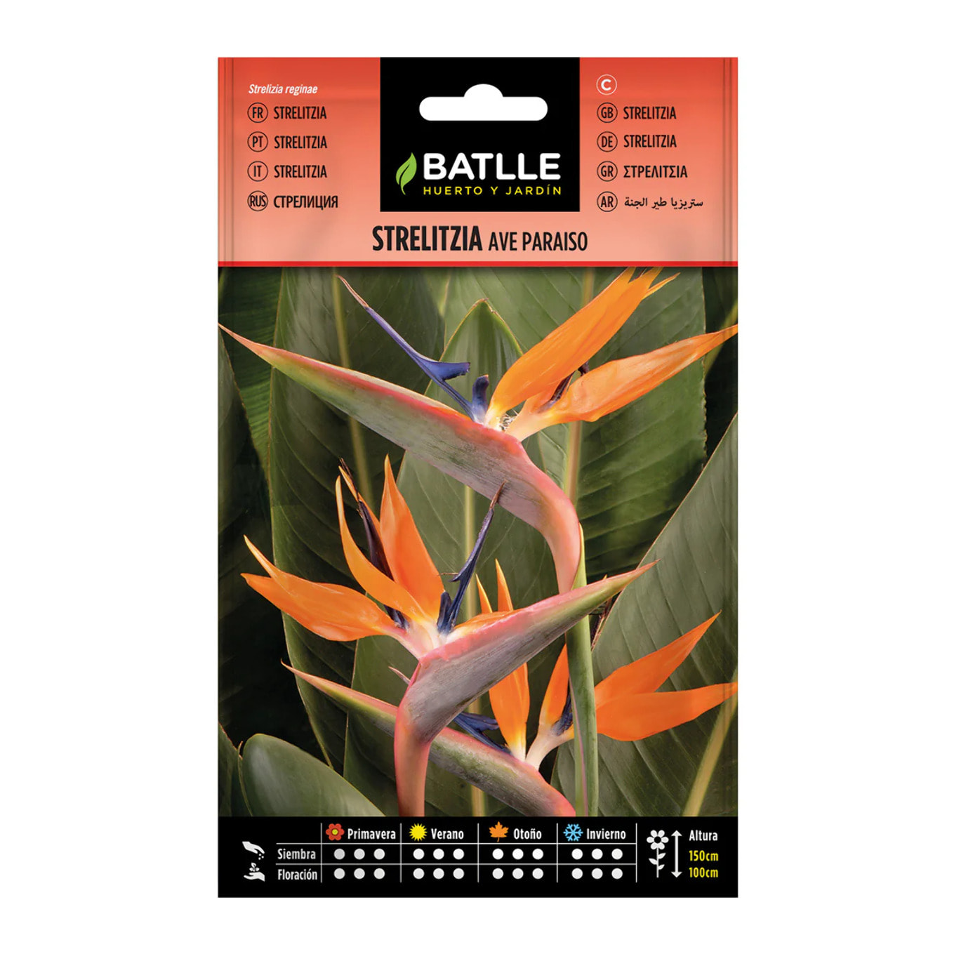 Semillas de Strelitzia Ave del paraíso Batlle