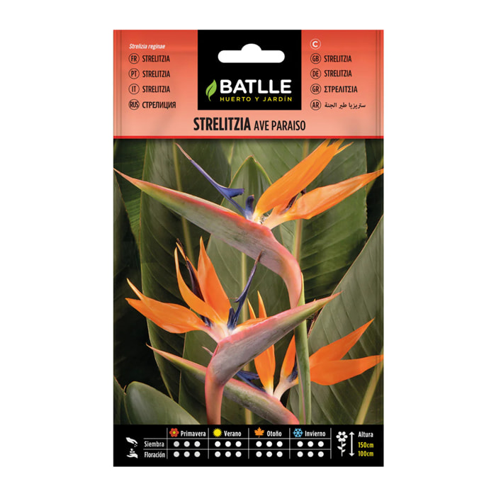 Semillas de Strelitzia Ave del paraíso Batlle