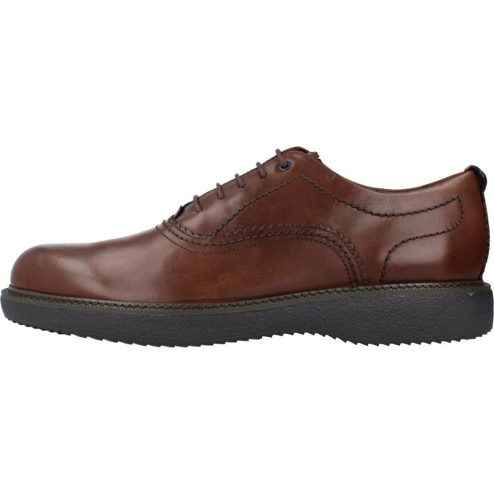 DERBIES - OXFORD STONEFLY MUSK 9 CALF