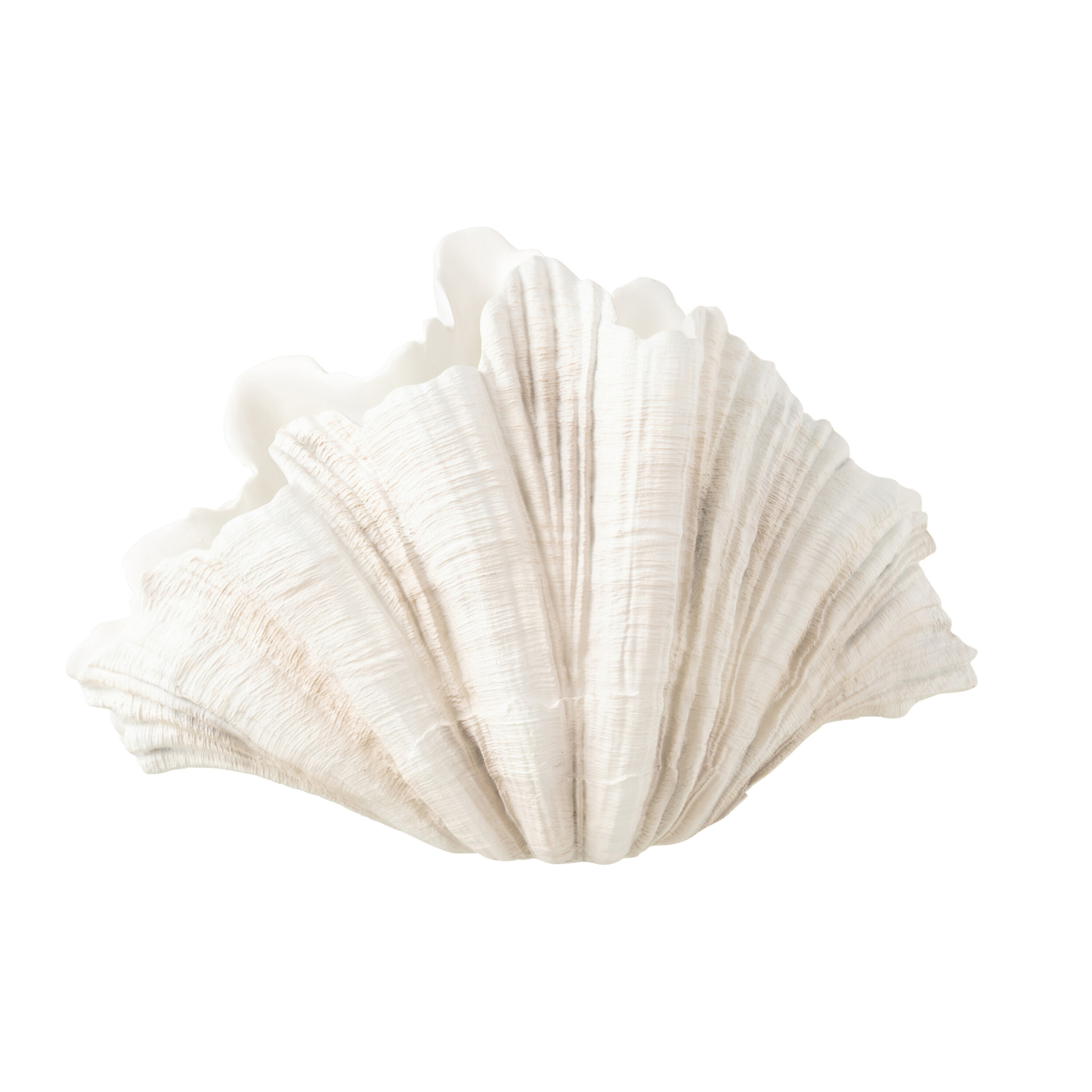 J-Line décoration Coquillage - polyrésine - blanc cassé