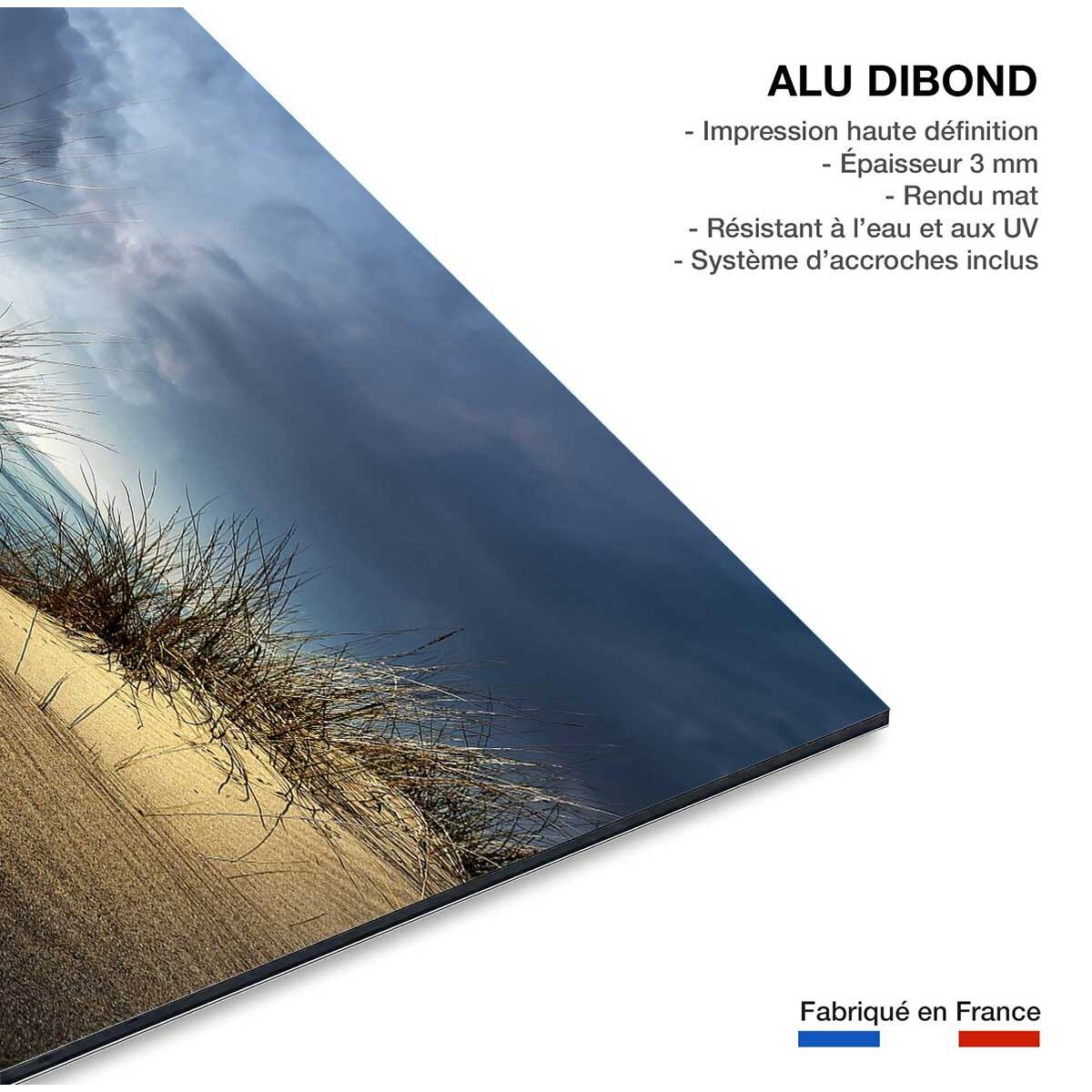 Tableau dunes secrètes Tableau alu Dibond