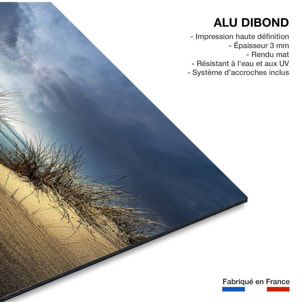 Tableau dunes secrètes Tableau alu Dibond