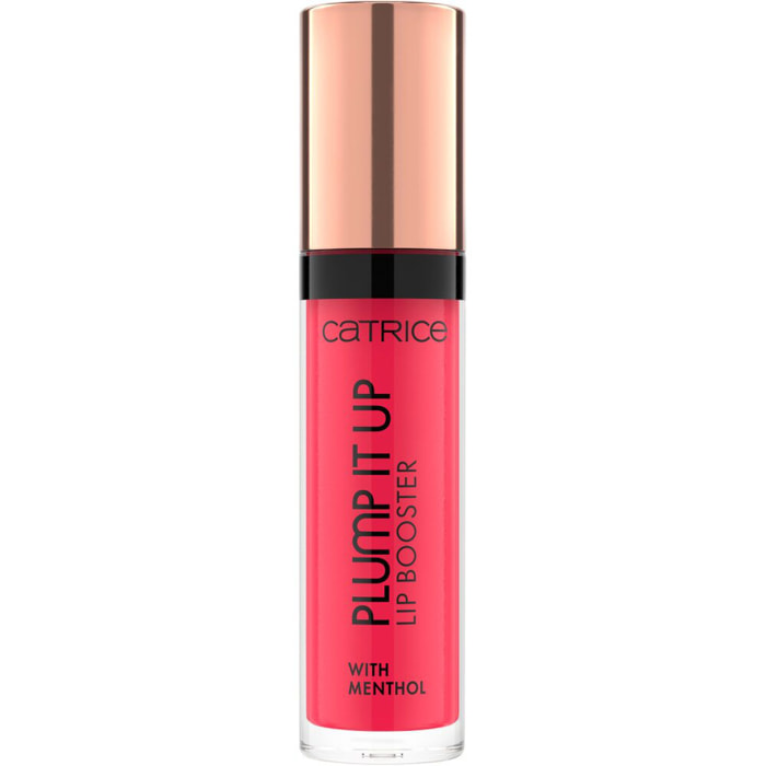 Plump It Up Lip Booster - Gloss Effet Repulpant Fini Ultra-brillant