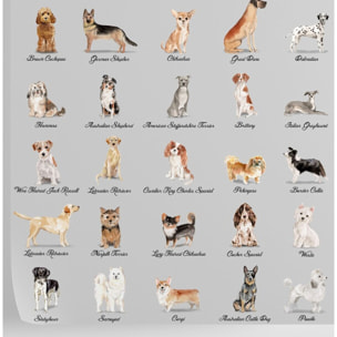 Carta da Parati Cani Sfondo Grigio