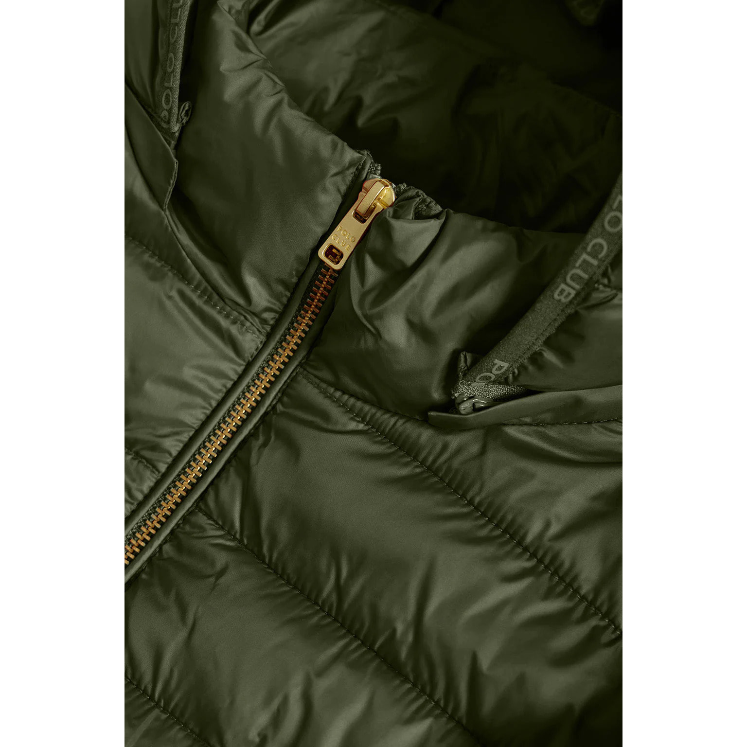 Chaqueta Charles ultralight verde con capucha y logotipo Polo Club