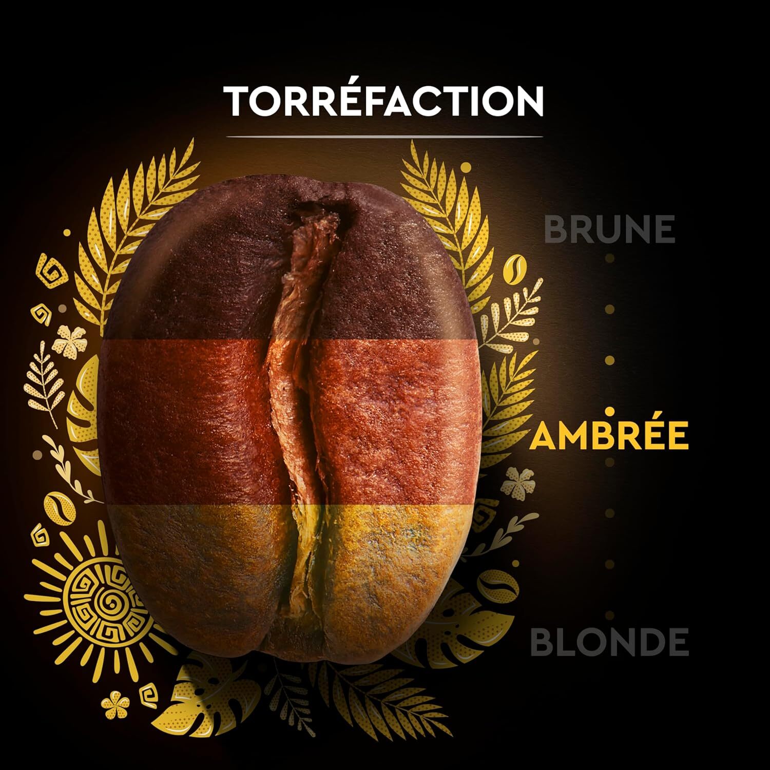 Grains Pérou Bio 500g