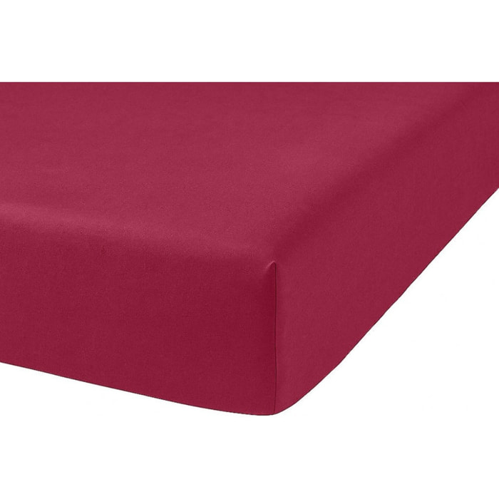 Drap Housse Coton 57fils Uni - Bonnet 35cm CERISE