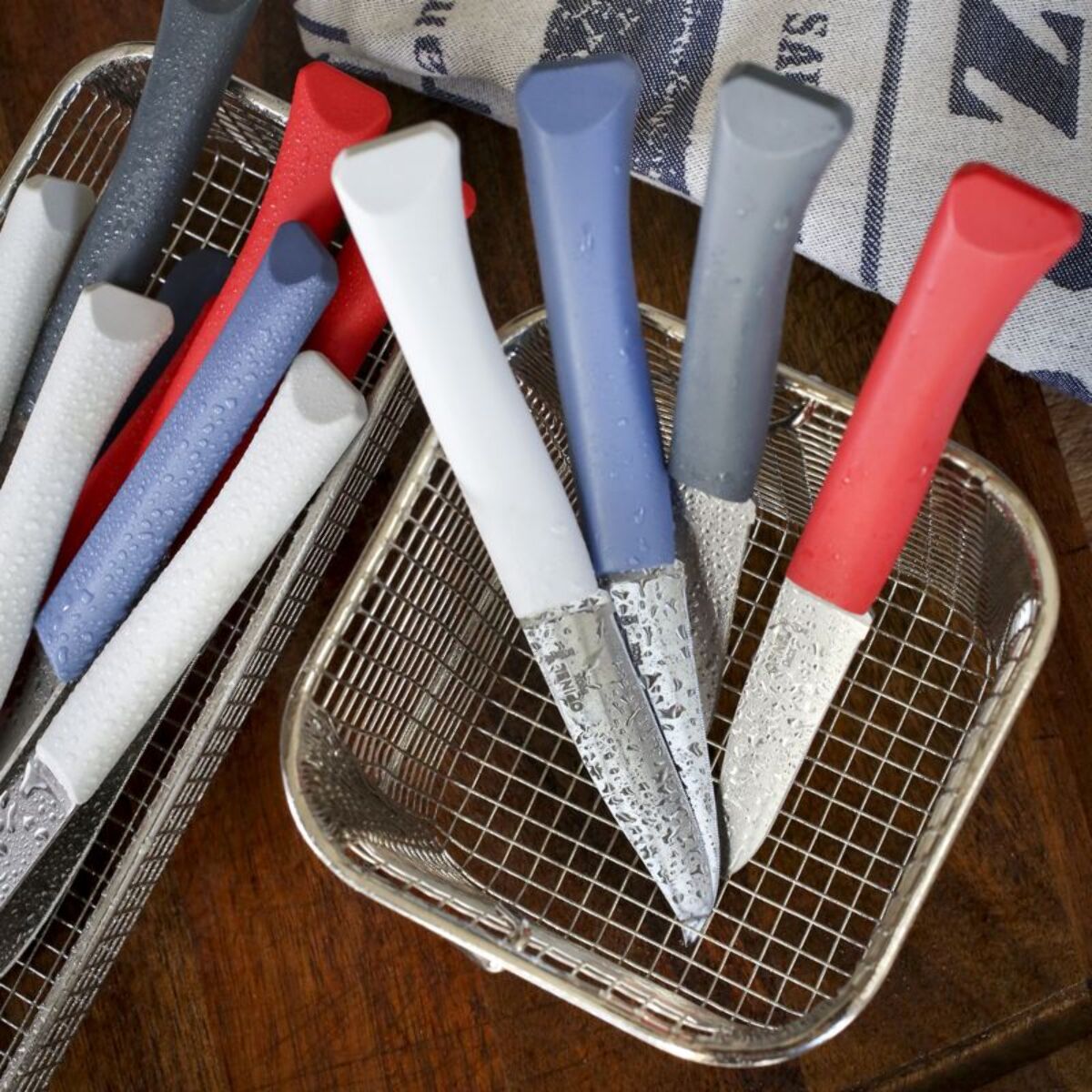 Couteau OPINEL Bon Appétit + Primo 4 couteaux de table