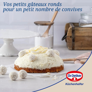 Moule à manqué à charnière Dr.Oetker Tradition