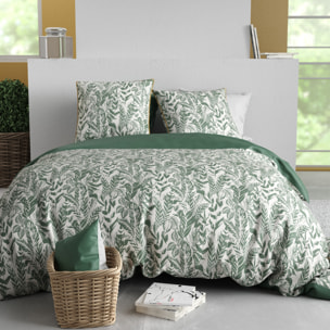 Parure Housse De Couette 3pcs 100% Coton 57 Fils MANGROVE