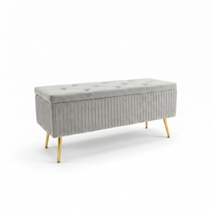 Panca Contenitore in Effetto Velluto a Coste con Ampio Vano Contenitore, Seduta Imbottita e Gambe in Acciaio, Design Moderno per Camera da Letto, Ingresso e Soggiorno