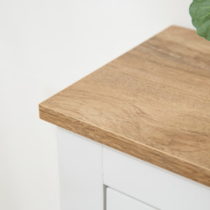 Mueble Zapatero Estrecho Zapatero Entrada Recibidor con 2 Cajones Abatibles Estantes Ajustables para 12 Pares de Zapatos para Pasillo 79x23x90,5 cm Blanco