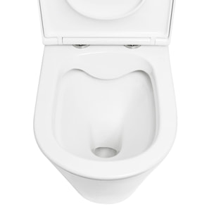 Brevis cuvette WC PMR à poser SEULE sans bride en céramique (réservoir non fourni), blanc (SATBRE32M)