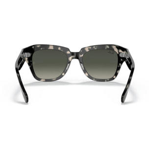 GAFAS DE SOL RAY BAN STATE STREET 0RB2186 133371