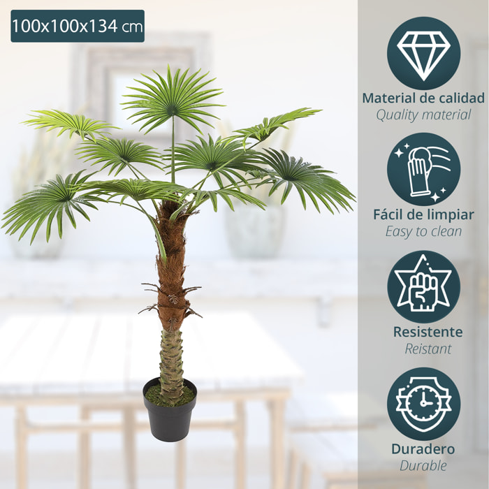 Planta decorativa Tronco de Palmera- Atmosphera