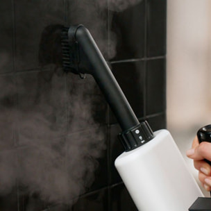 Nettoyeur vapeur LAURASTAR AURA