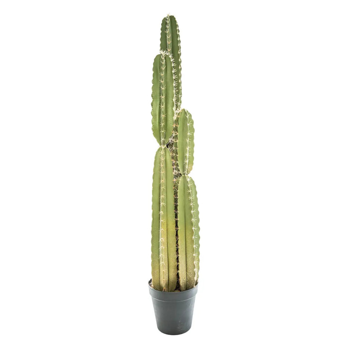 Cactus artificiel H185 cm