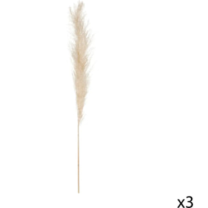 3 fleurs séchées "Pampa naturelle" H110cm