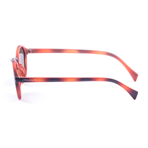 Gafas de sol PALO ALTO MARYLAND - Tiras verticales marrón / Revo azul cielo