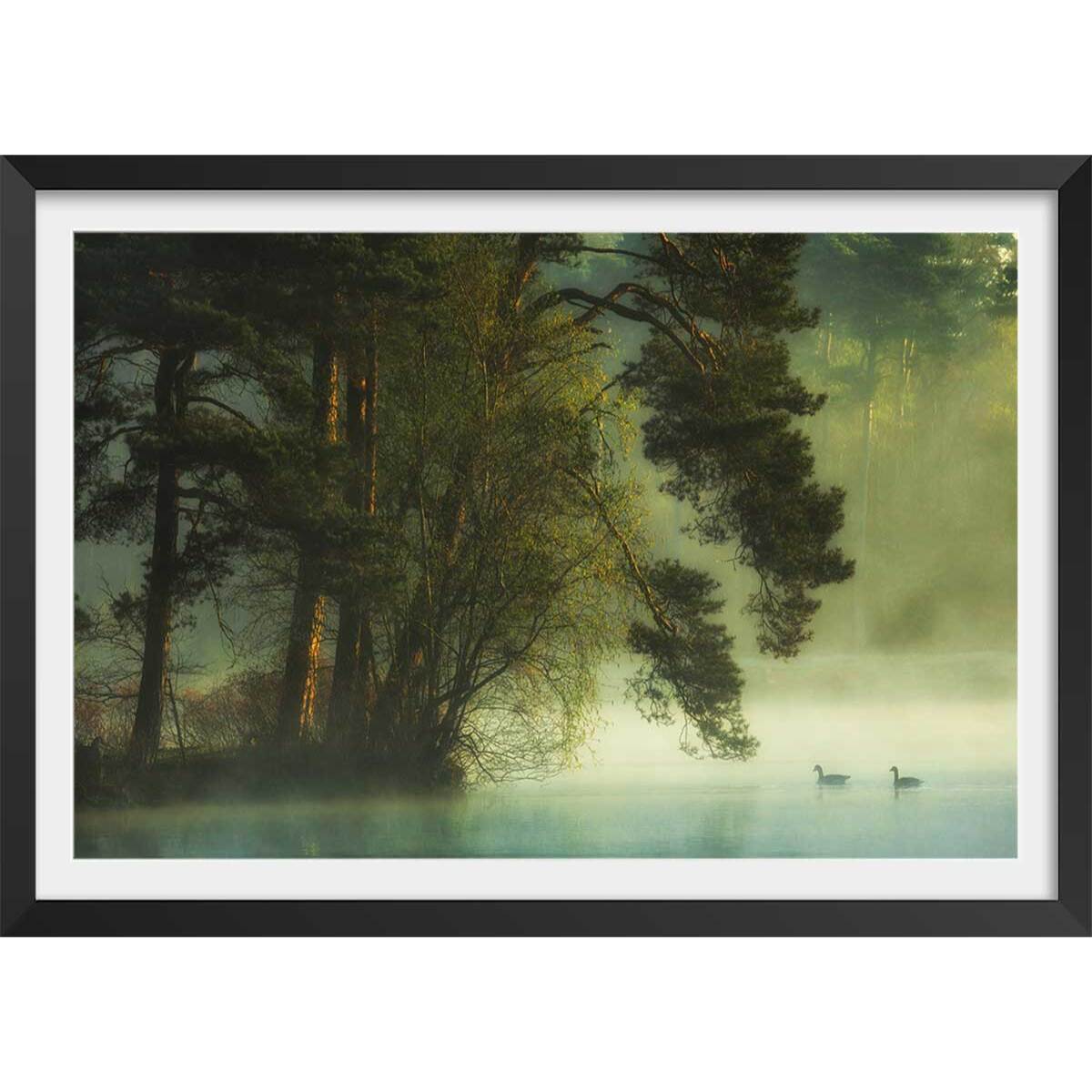 Affiche paysage marais neerlandais Affiche + cadre en bois - Noir