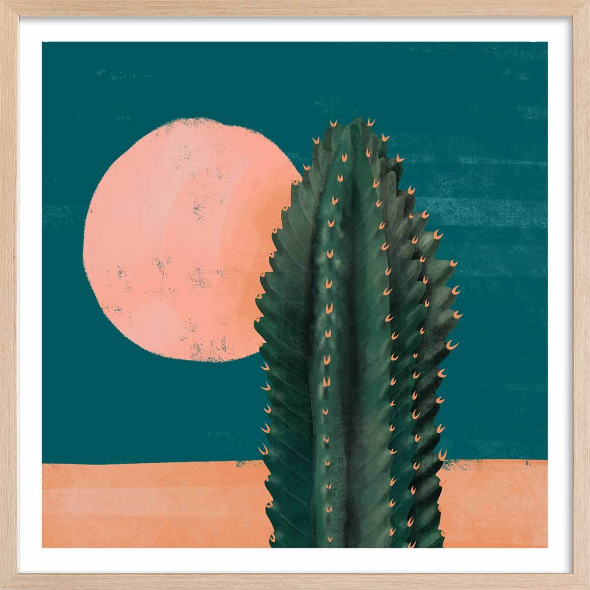 Affiche illustration cactus et soleil rose Affiche + cadre en bois - Chêne