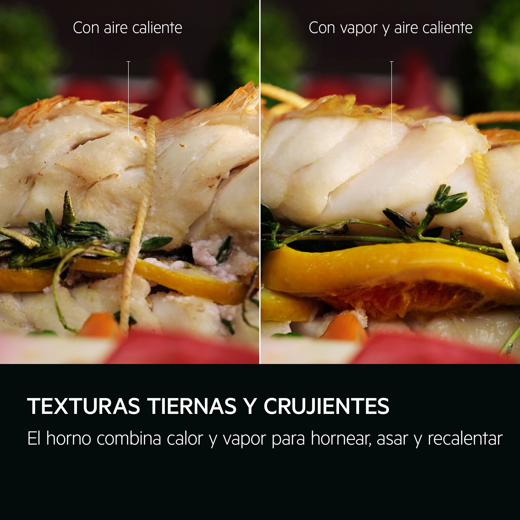 AEG Horno de vapor Serie 6000 SenseCook con SteamCrisp con Display LED Explore V7PBR521SB