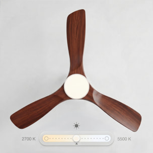 Ventilador de techo FLOW26 con luz LED y mando a distancia
