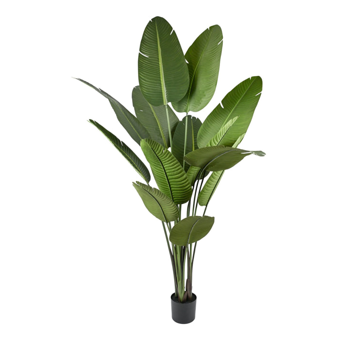 Palmera Platanera Artificial de 210cm - Planta tropical Banano grande con Hojas realistas y Maceta negra para Interiores