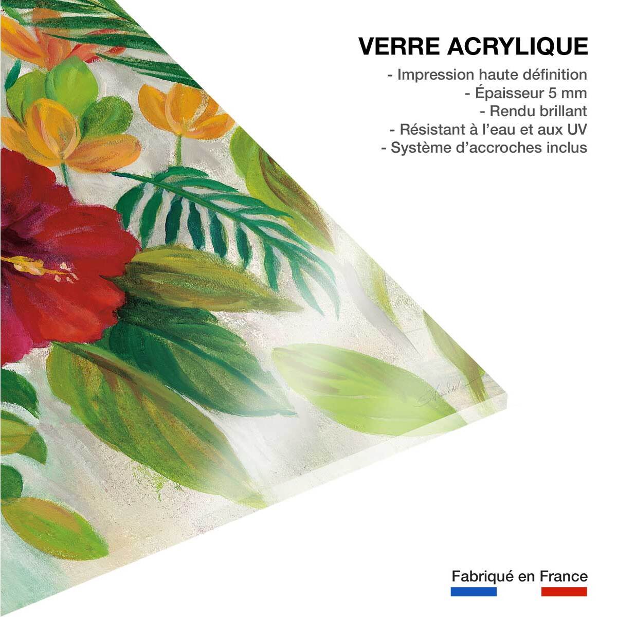 Tableau Hibiscus des tropiques Tableau plexiglas
