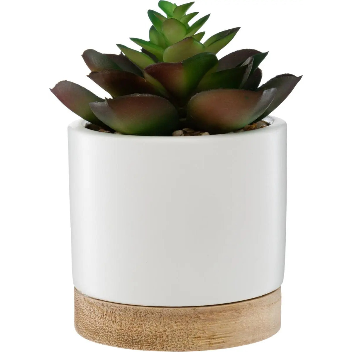 Succulente artificielle - pot en céramique - H12 cm