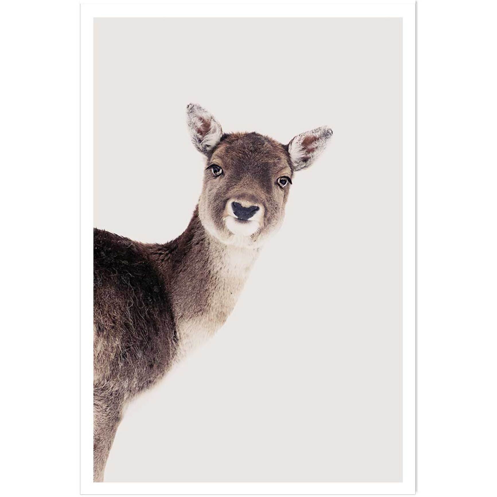 Affiche enfant biche  Affiche seule