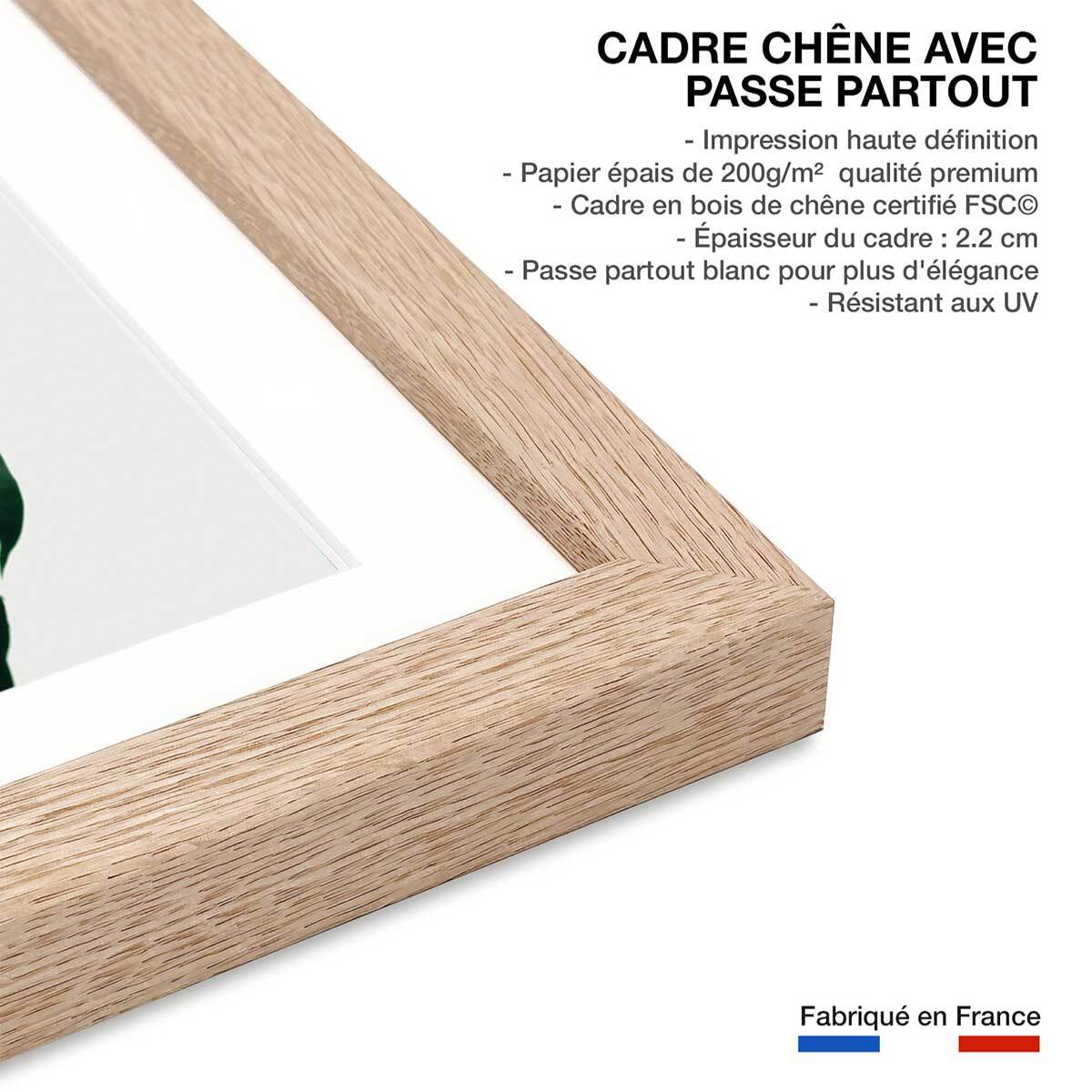 Affiche  monstera due Affiche + cadre en bois - Chêne