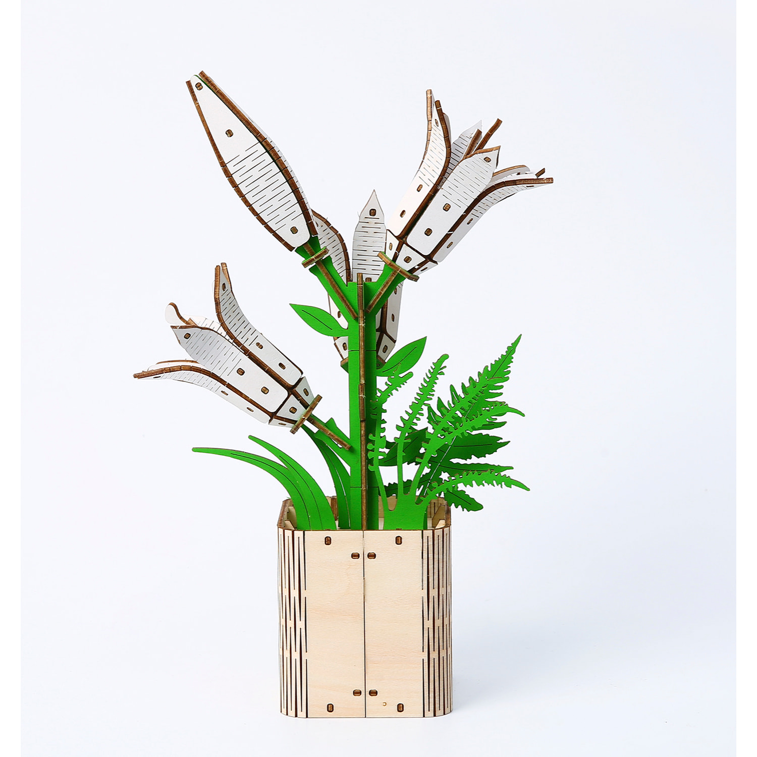 Modello in Legno 3D, design di Giglio. 136 pezzi.