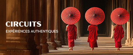 Circuits : expériences authentiques