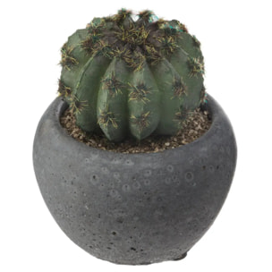 Cactus artificiel pot ciment H11,5cm