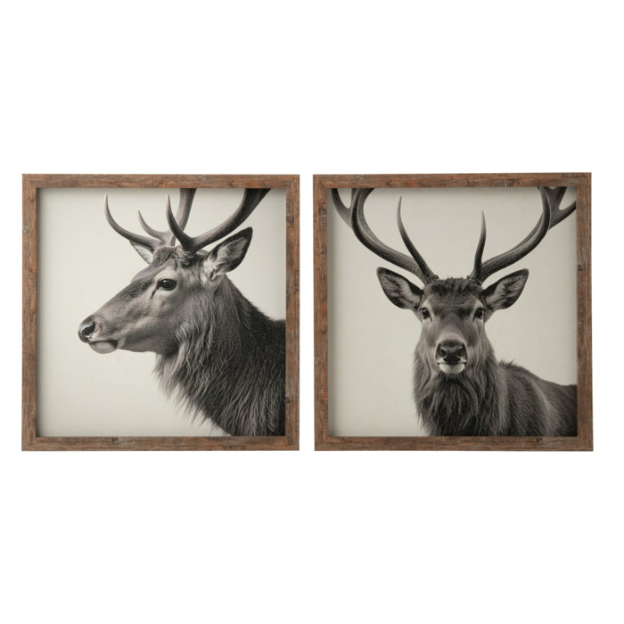 J-Line tableaux cerf - MDF - gris/marron - assortiment de 2