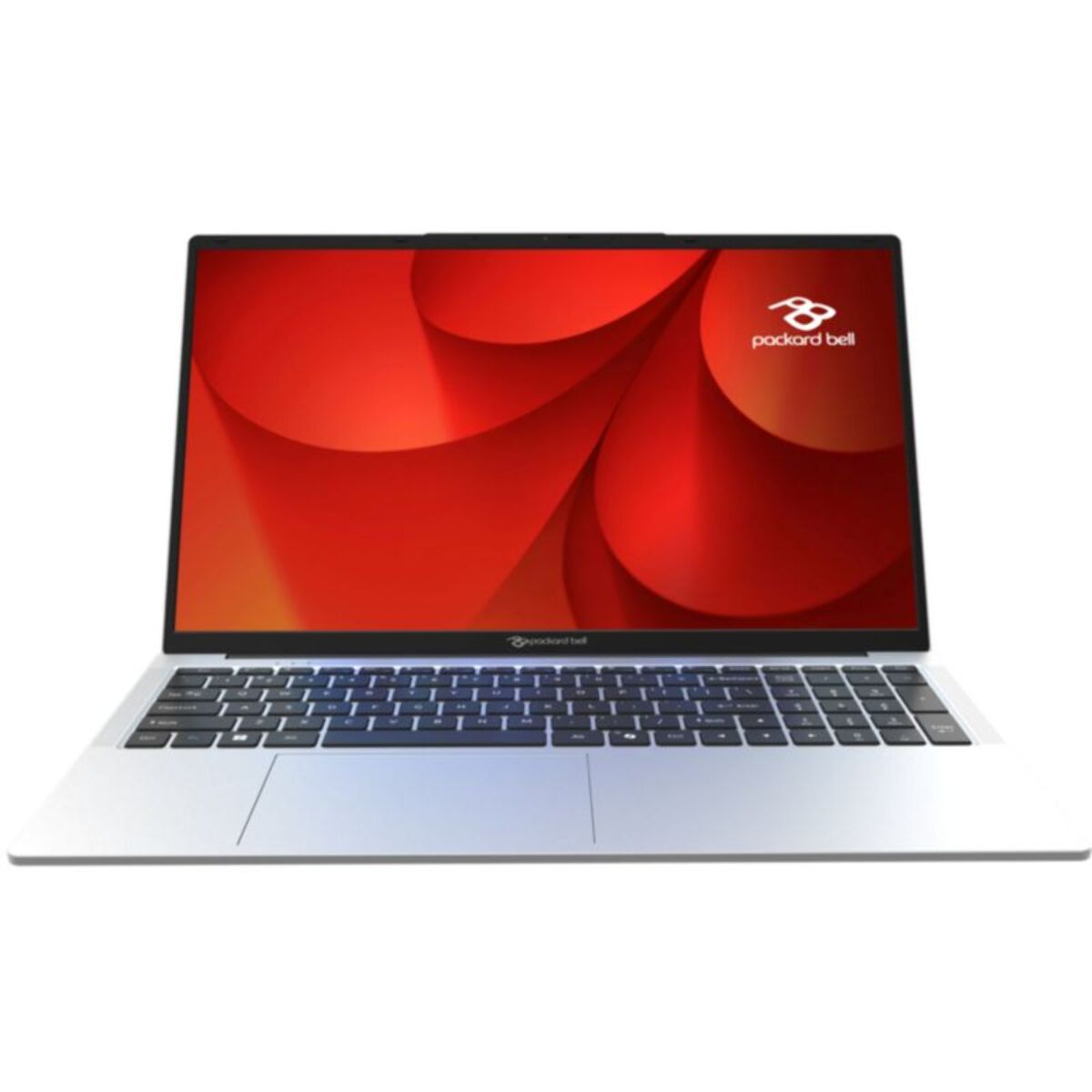 Ordinateur portable PACKARD BELL PB17-31P-C8XG 17,3" Intel N150 8 Go RAM SSD 128 Go