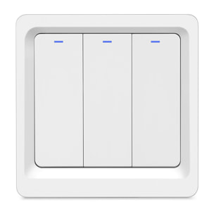 Wi-Fi Smart Wall Switch con telecomando e timer, compatibile con Alexa e Google Home