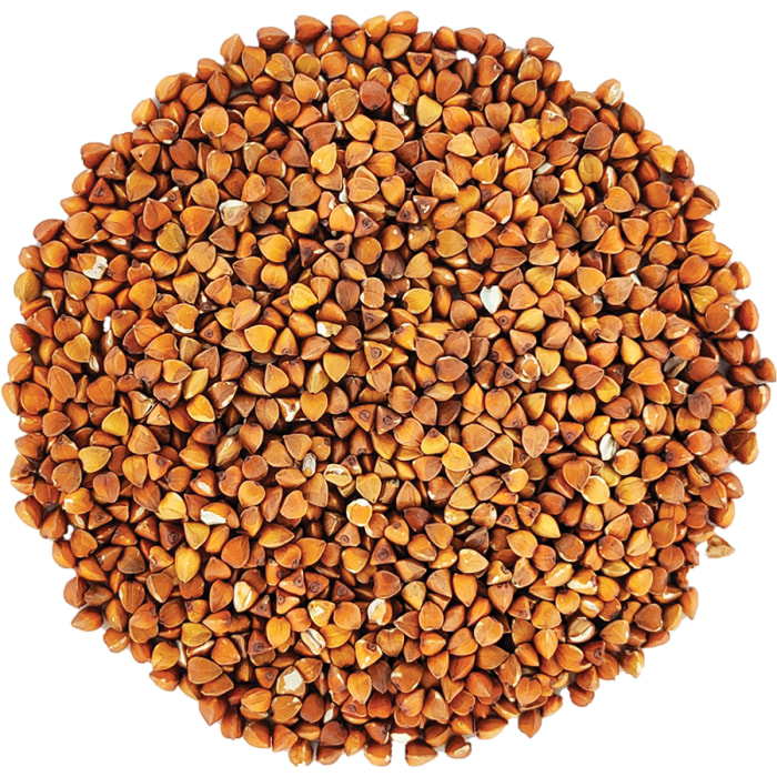 Sobacha - Infusion Bio plantes naturelles - Vrac 1kg