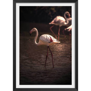 Affiche flamingo in miami Affiche + cadre en bois - Noir