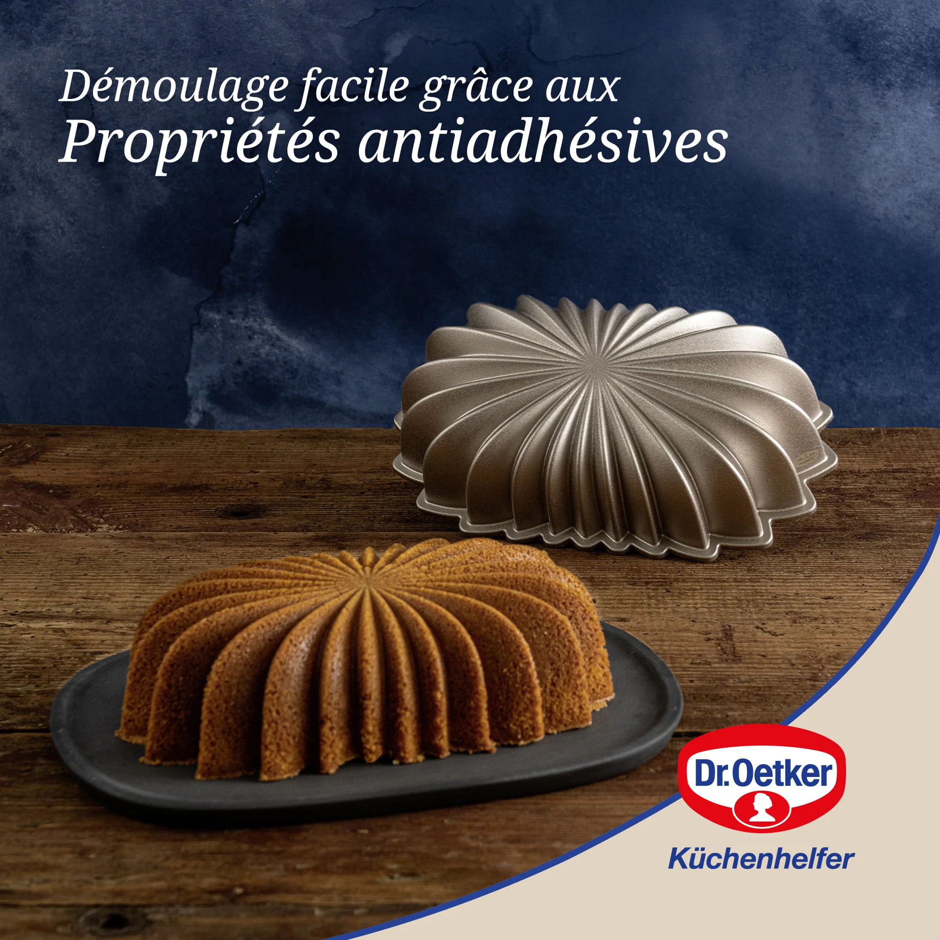 Moule à gâteaux ovale 27,5 x 16 cm Dr.Oetker Back-Kunst