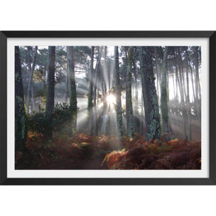 Affiche paysage brume landaise Affiche + cadre en bois - Noir