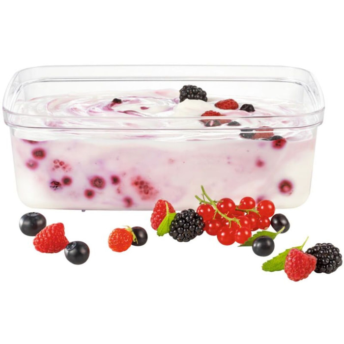 Bac SEB XF102000 bac 1 litre